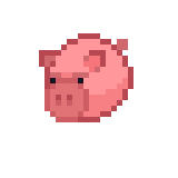 pig